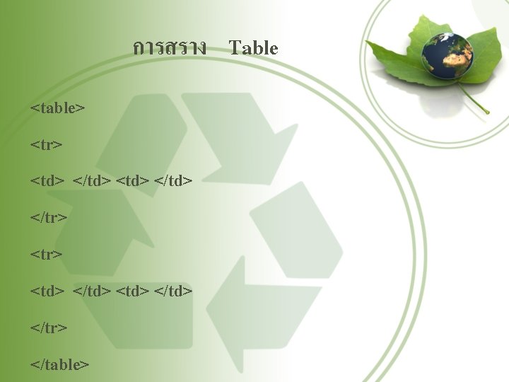 การสราง Table <table> <tr> <td> </td> </tr> </table> 