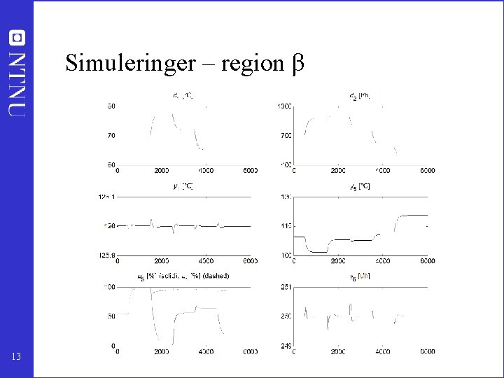 Simuleringer – region β 13 