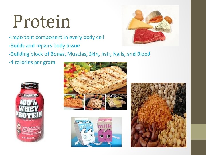 Protein -Important component in every body cell -Builds and repairs body tissue -Building block