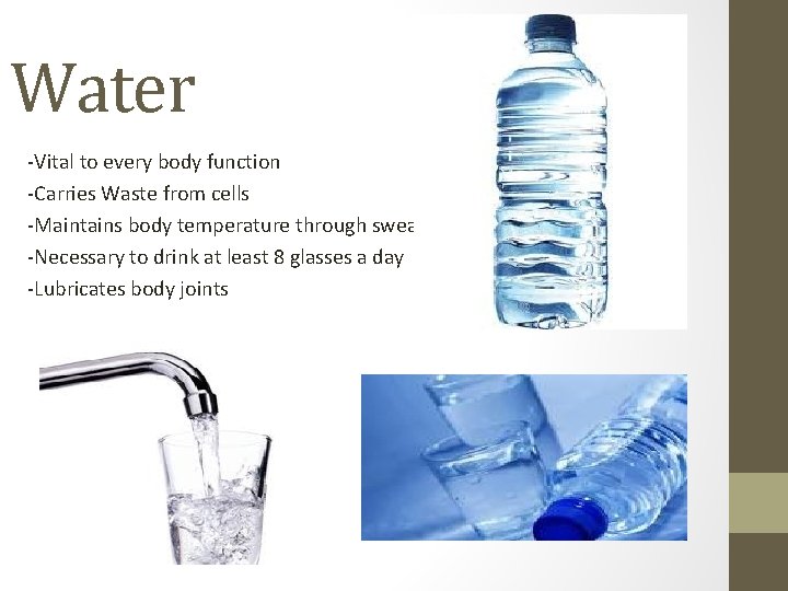 Water -Vital to every body function -Carries Waste from cells -Maintains body temperature through