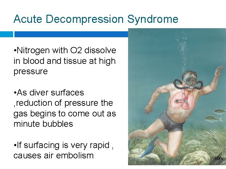 Acute Decompression Syndrome • Nitrogen with O 2 dissolve in blood and tissue at