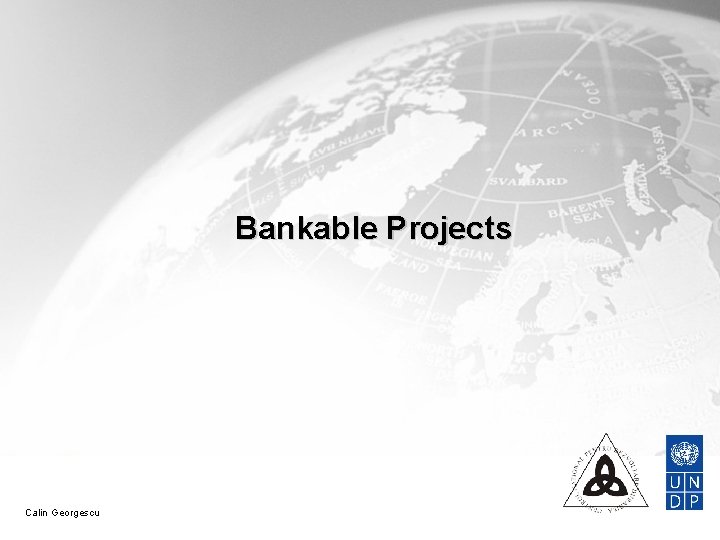 Bankable Projects Calin Georgescu 