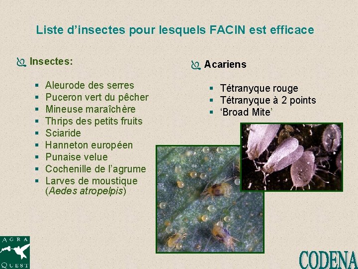 Liste d’insectes pour lesquels FACIN est efficace Ï Insectes: § § § § §