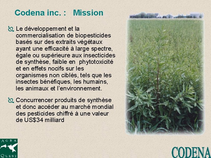 Codena inc. : Mission Ï Le développement et la commercialisation de biopesticides basés sur