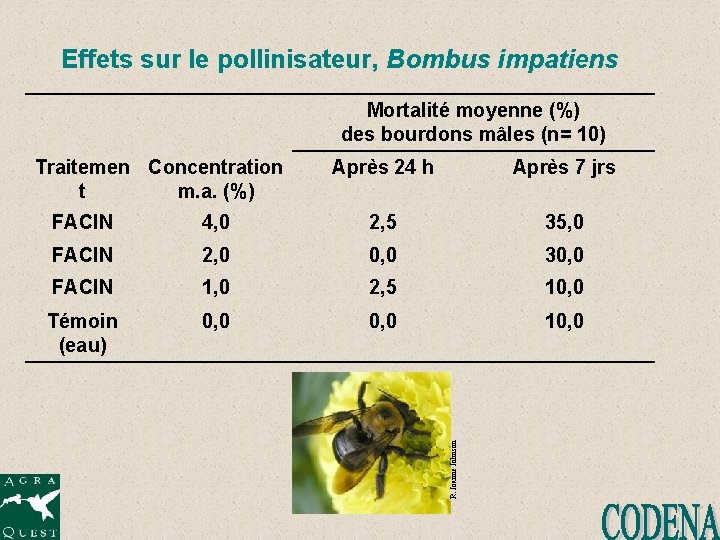 Effets sur le pollinisateur, Bombus impatiens Mortalité moyenne (%) des bourdons mâles (n= 10)