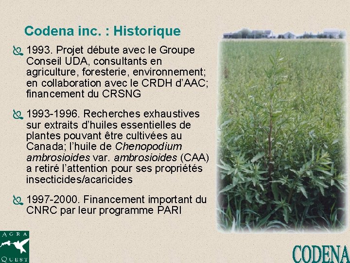 Codena inc. : Historique Ï 1993. Projet débute avec le Groupe Conseil UDA, consultants