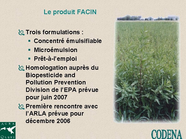 Le produit FACIN Ï Trois formulations : § Concentré émulsifiable § Microémulsion § Prêt-à-l’emploi