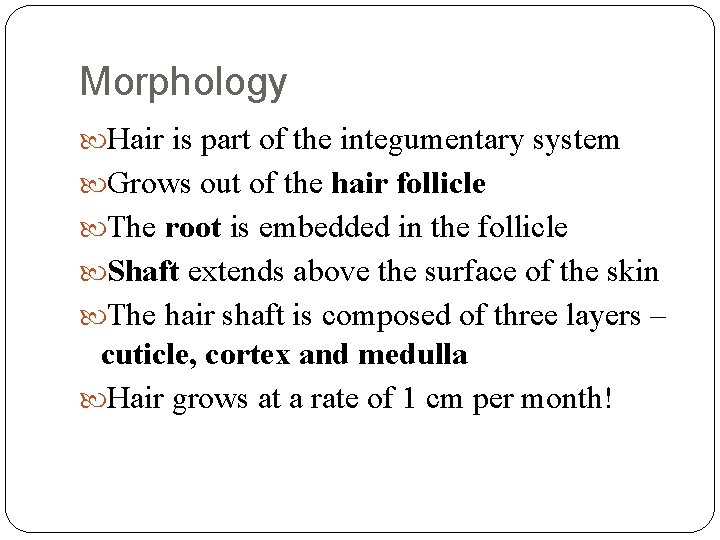 draw the gross morphology structure of human hair