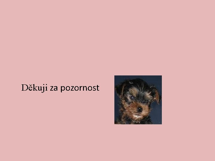 Děkuji za pozornost 