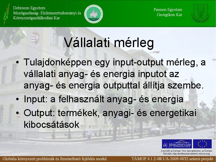 Vállalati mérleg • Tulajdonképpen egy input-output mérleg, a vállalati anyag- és energia inputot az