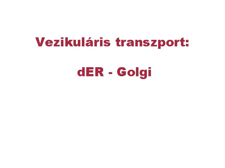 Vezikuláris transzport: d. ER - Golgi 