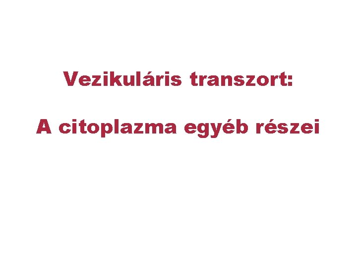 Vezikuláris transzort: A citoplazma egyéb részei 