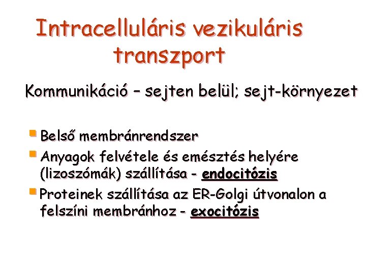 Intracelluláris vezikuláris transzport Kommunikáció – sejten belül; sejt-környezet § Belső membránrendszer § Anyagok felvétele