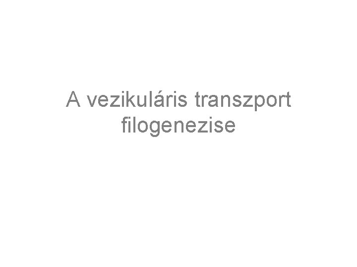 A vezikuláris transzport filogenezise 