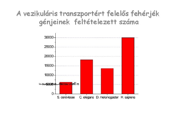 A vezikuláris transzportért felelős fehérjék génjeinek feltételezett száma 