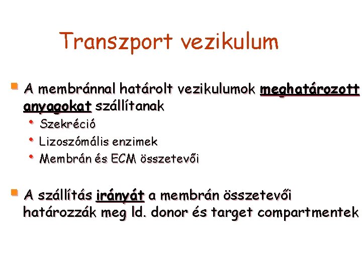 Transzport vezikulum § A membránnal határolt vezikulumok meghatározott anyagokat szállítanak • Szekréció • Lizoszómális