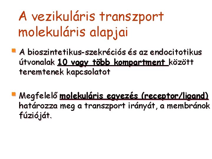 A vezikuláris transzport molekuláris alapjai § A bioszintetikus-szekréciós és az endocitotikus útvonalak 10 vagy