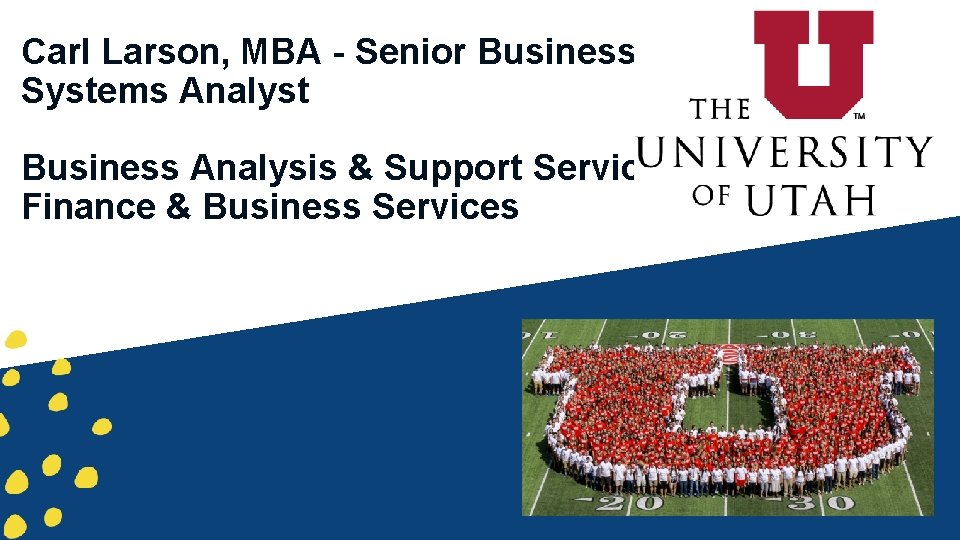 Carl Larson, MBA - Senior Business Systems Analyst Business Analysis & Support Services Finance