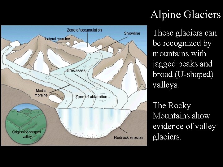 Alpine Glaciers These glaciers can be recognized by mountains with jagged peaks and broad