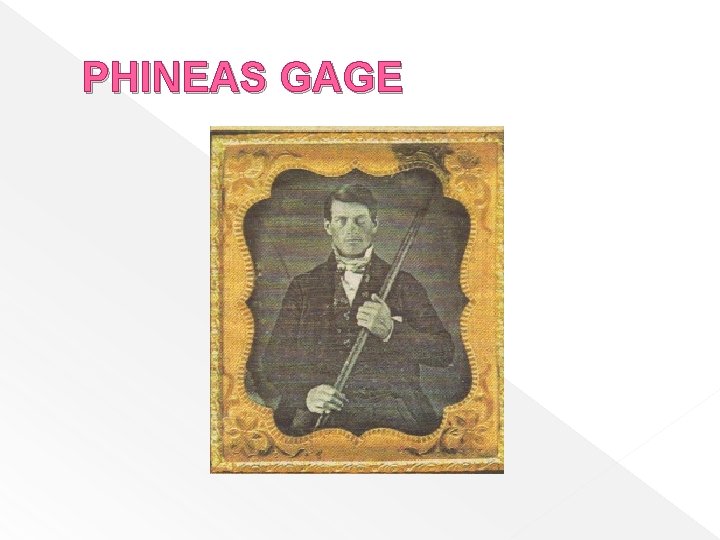 PHINEAS GAGE 