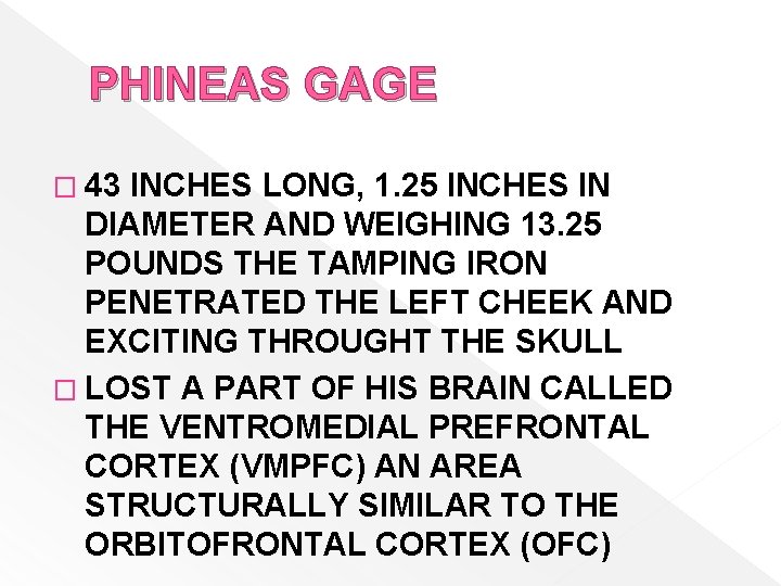 PHINEAS GAGE � 43 INCHES LONG, 1. 25 INCHES IN DIAMETER AND WEIGHING 13.