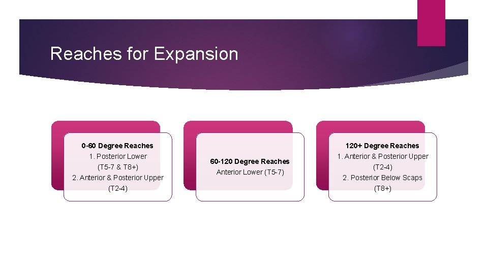 Reaches for Expansion 0 -60 Degree Reaches 1. Posterior Lower (T 5 -7 &