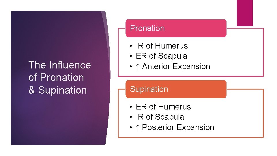 Pronation The Influence of Pronation & Supination • IR of Humerus • ER of