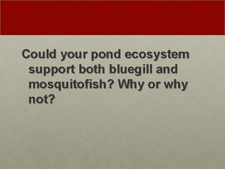 Could your pond ecosystem support both bluegill and mosquitofish? Why or why not? 