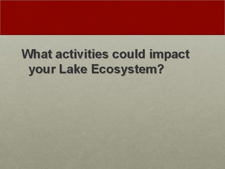 What activities could impact your Lake Ecosystem? 