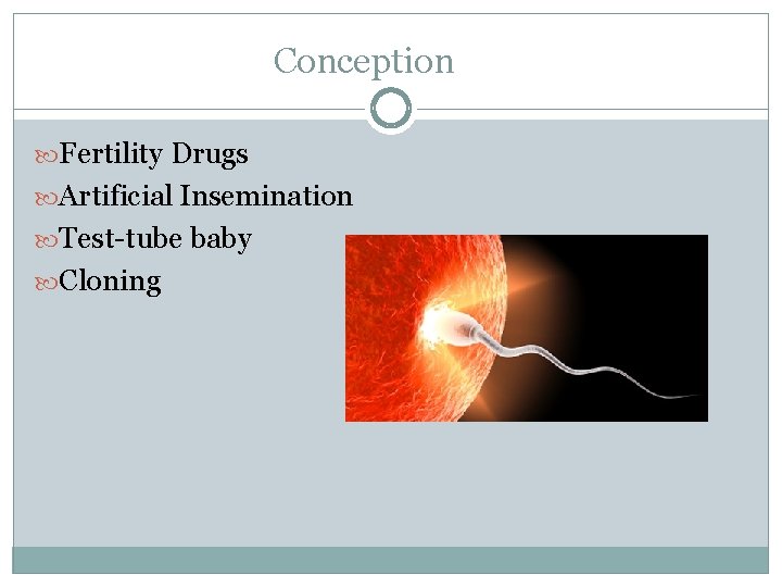 Conception Fertility Drugs Artificial Insemination Test-tube baby Cloning 