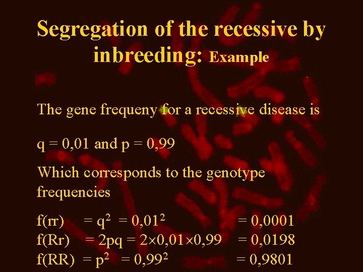 Segregation of the recessive by inbreeding: Example The gene frequeny for a recessive disease