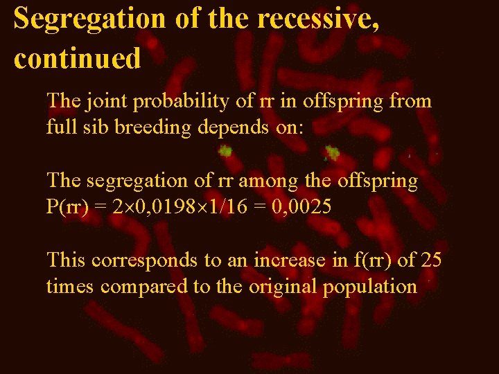Segregation of the recessive, continued The joint probability of rr in offspring from full
