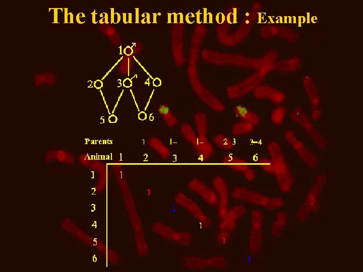The tabular method : Example 