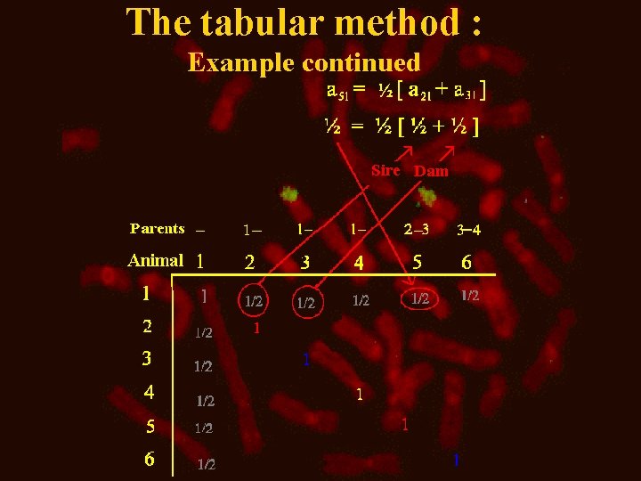 The tabular method : Example continued 