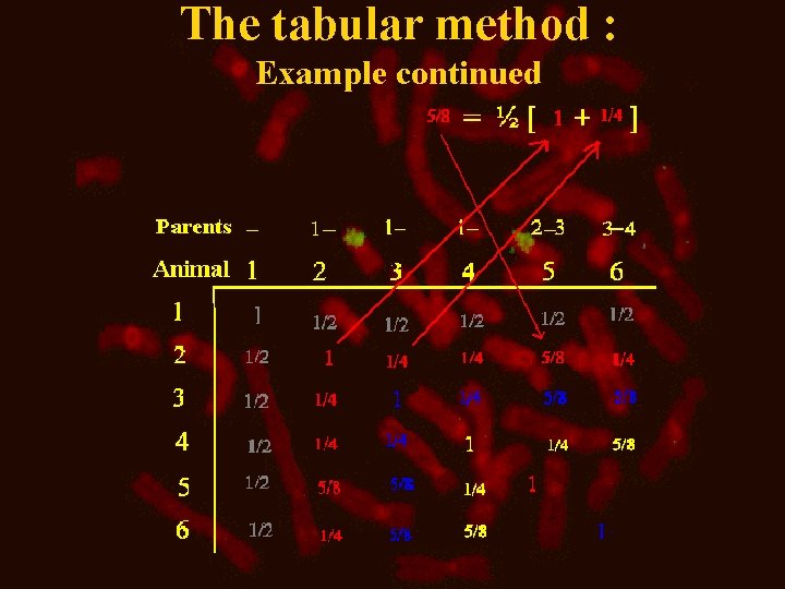 The tabular method : Example continued 