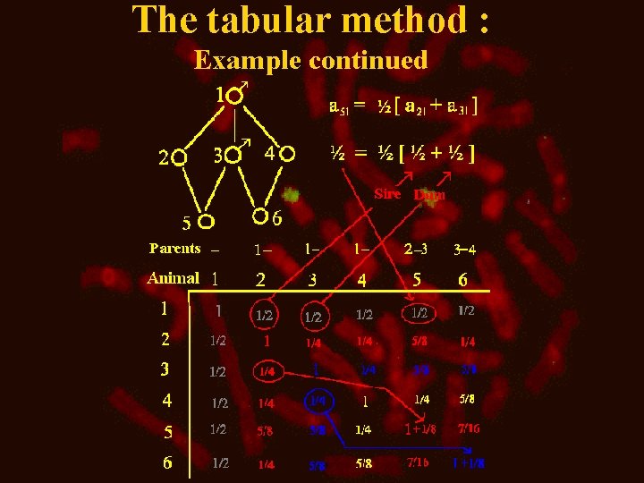 The tabular method : Example continued 