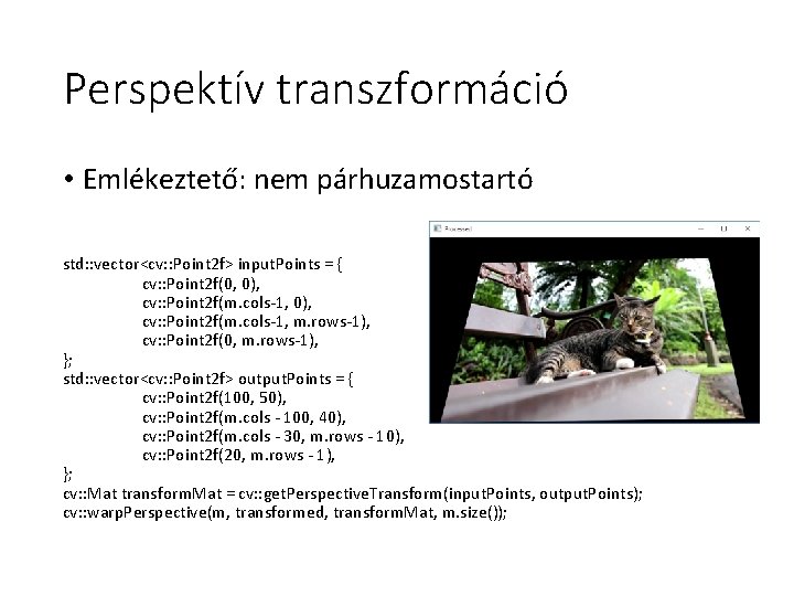 Perspektív transzformáció • Emlékeztető: nem párhuzamostartó std: : vector<cv: : Point 2 f> input.