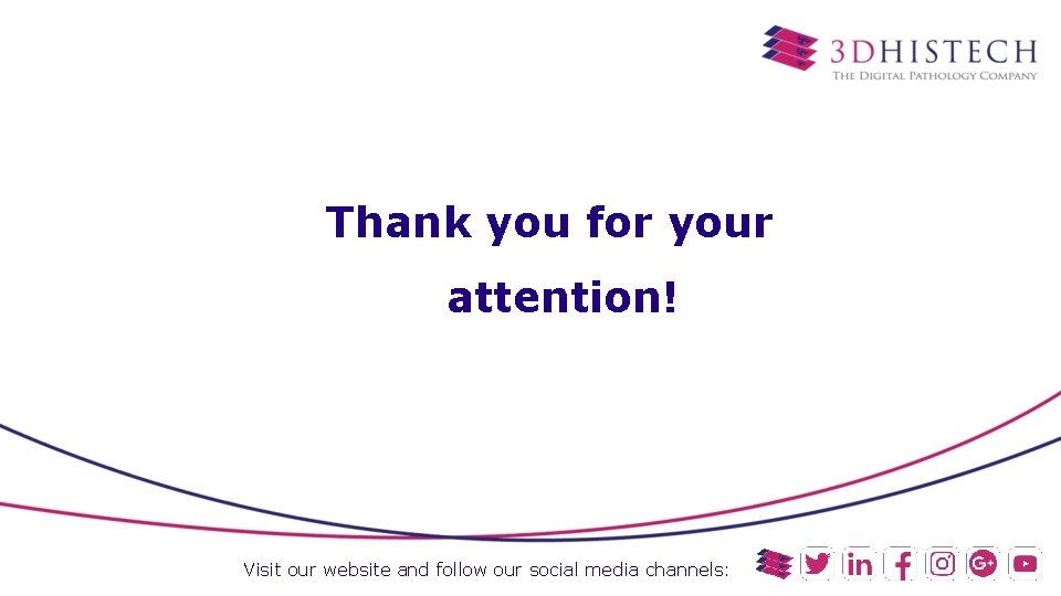 Thank you for your attention! Visit our website and follow our social media channels: