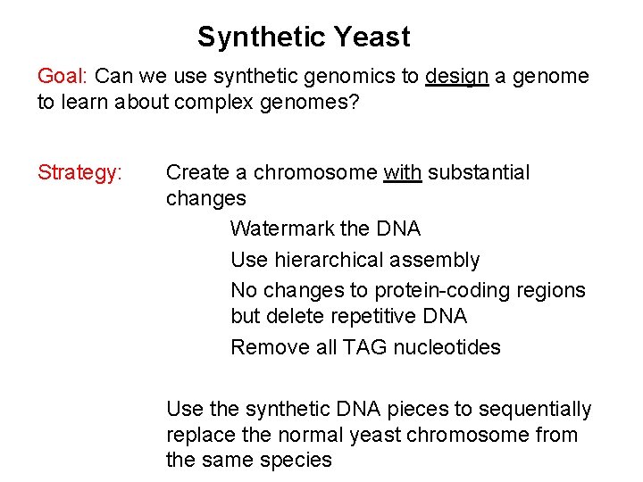 Synthetic Yeast Goal: Can we use synthetic genomics to design a genome to learn