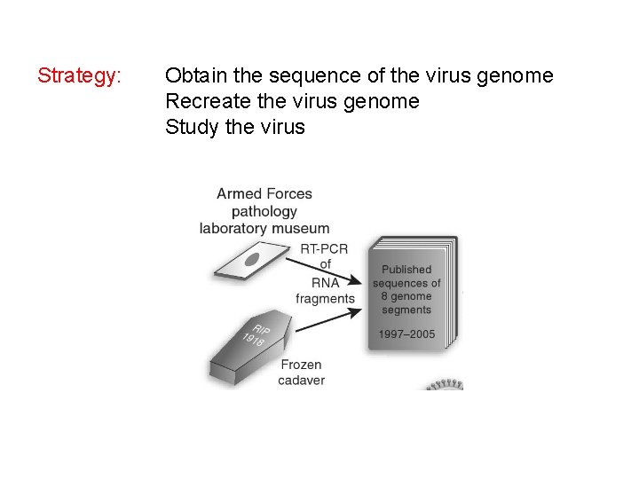Strategy: Obtain the sequence of the virus genome Recreate the virus genome Study the
