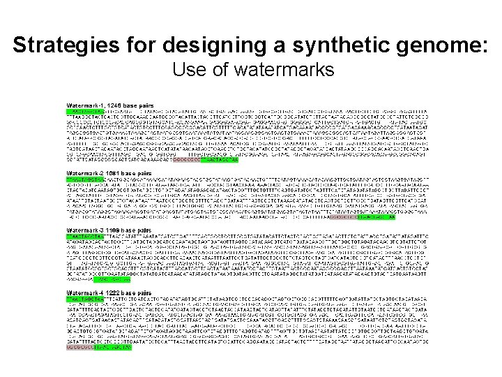 Strategies for designing a synthetic genome: Use of watermarks 