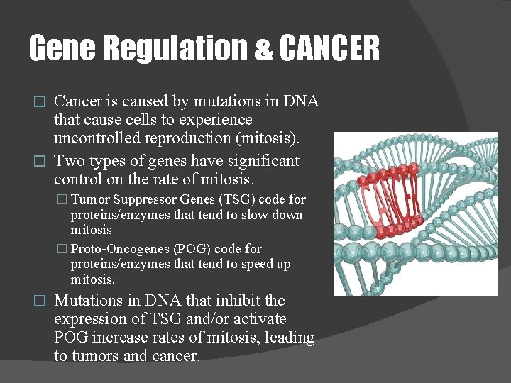 Gene Regulation & CANCER Cancer is caused by mutations in DNA that cause cells