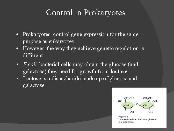 Control in Prokaryotes • Prokaryotes control gene expression for the same purpose as eukaryotes.