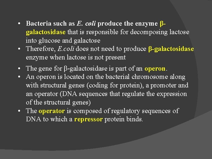  • Bacteria such as E. coli produce the enzyme βgalactosidase that is responsible