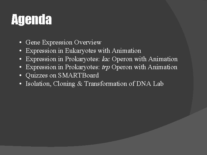 Agenda • • • Gene Expression Overview Expression in Eukaryotes with Animation Expression in