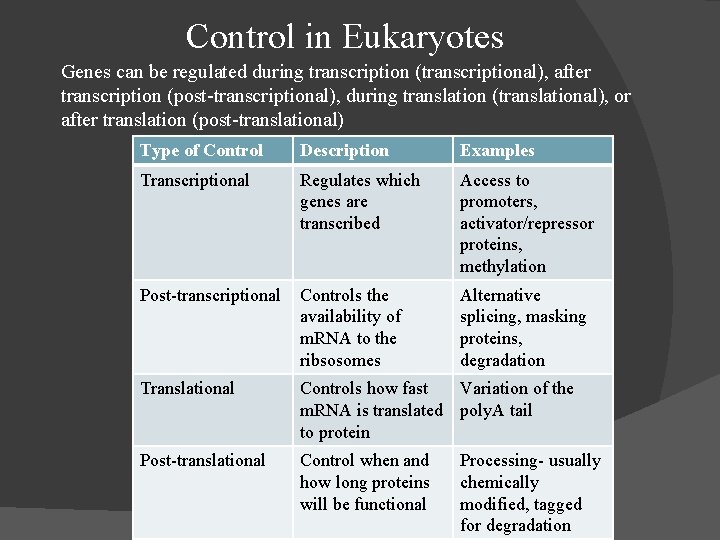 Control in Eukaryotes Genes can be regulated during transcription (transcriptional), after transcription (post-transcriptional), during