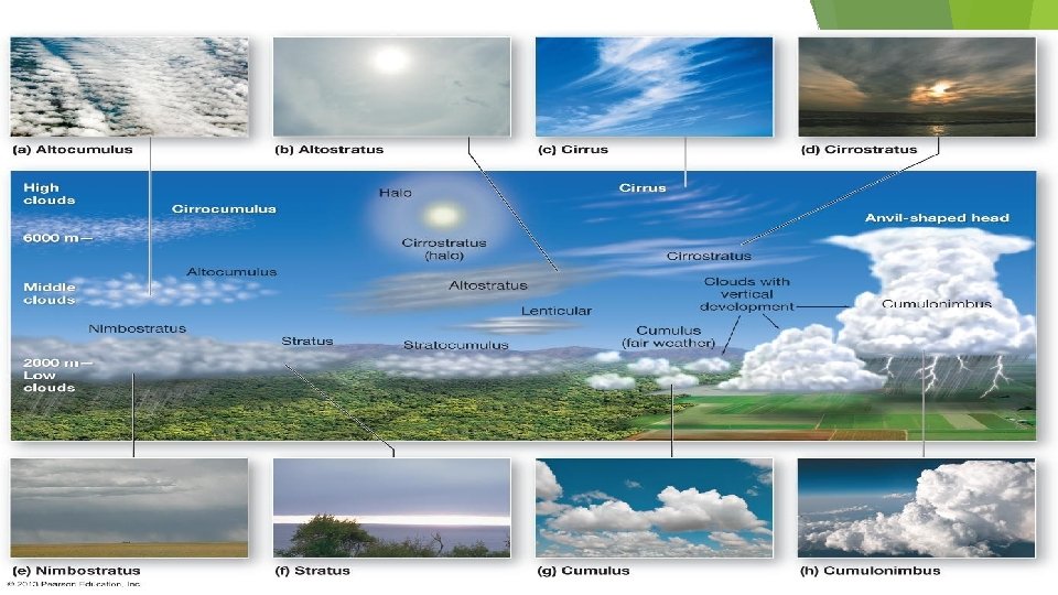 Section 11. 3 Moisture in the Atmosphere Types of Clouds 