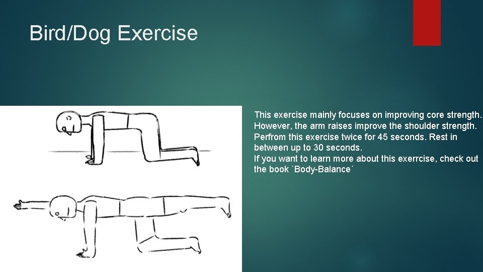 Bird/Dog Exercise This exercise mainly focuses on improving core strength. However, the arm raises