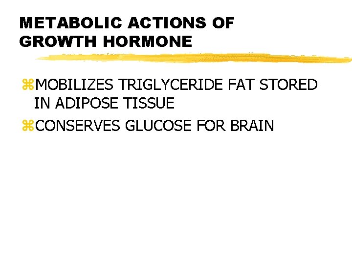 METABOLIC ACTIONS OF GROWTH HORMONE z. MOBILIZES TRIGLYCERIDE FAT STORED IN ADIPOSE TISSUE z.