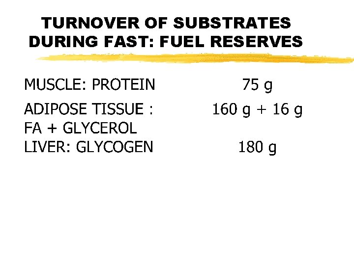 TURNOVER OF SUBSTRATES DURING FAST: FUEL RESERVES 